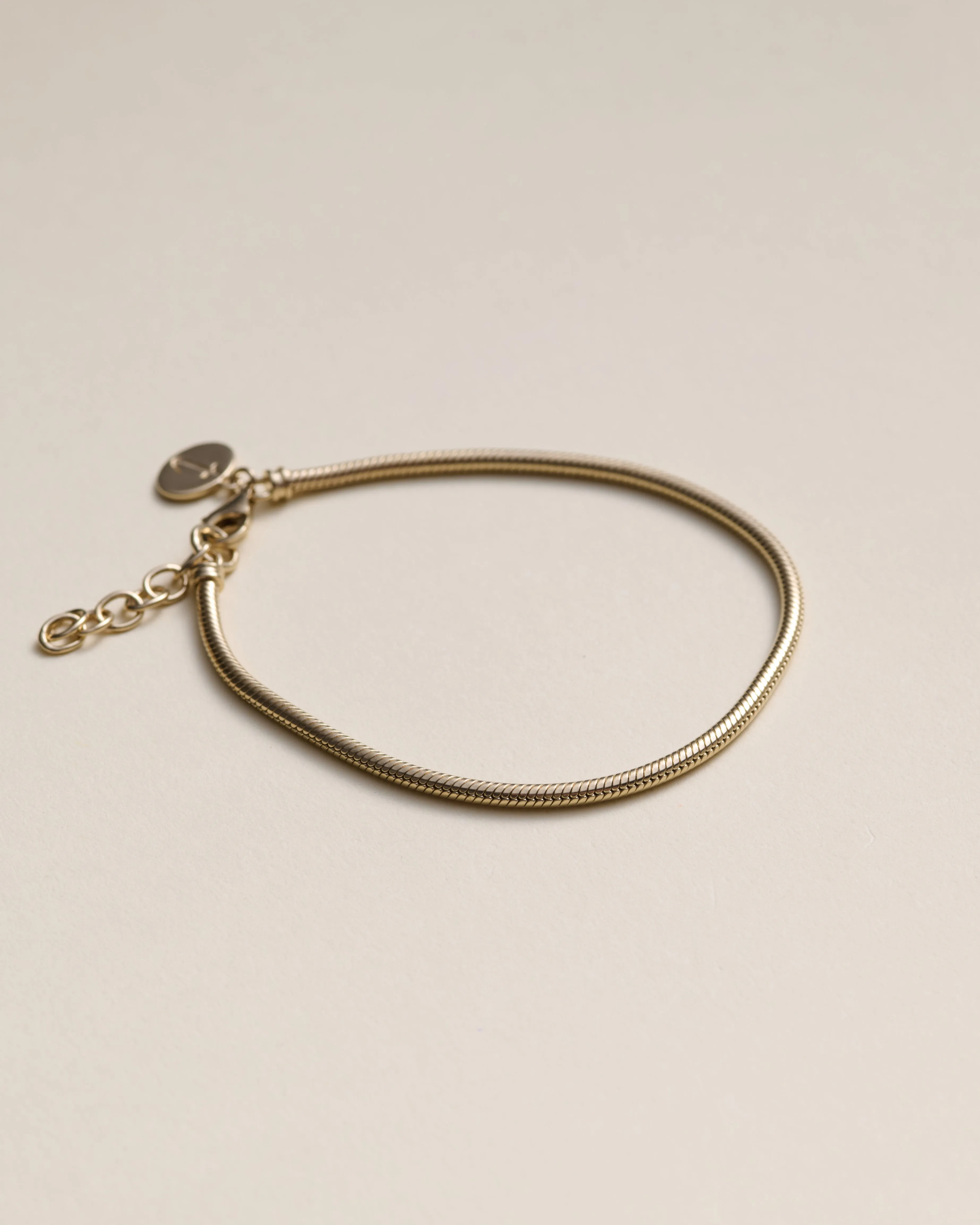 Mason Snake Chain Bracelet 14K Recycled Gold Vermeil